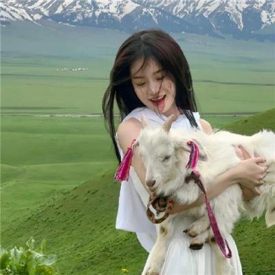 超级迪克 在线观看